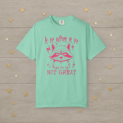It Is What It Is Raccoon Mood Tee