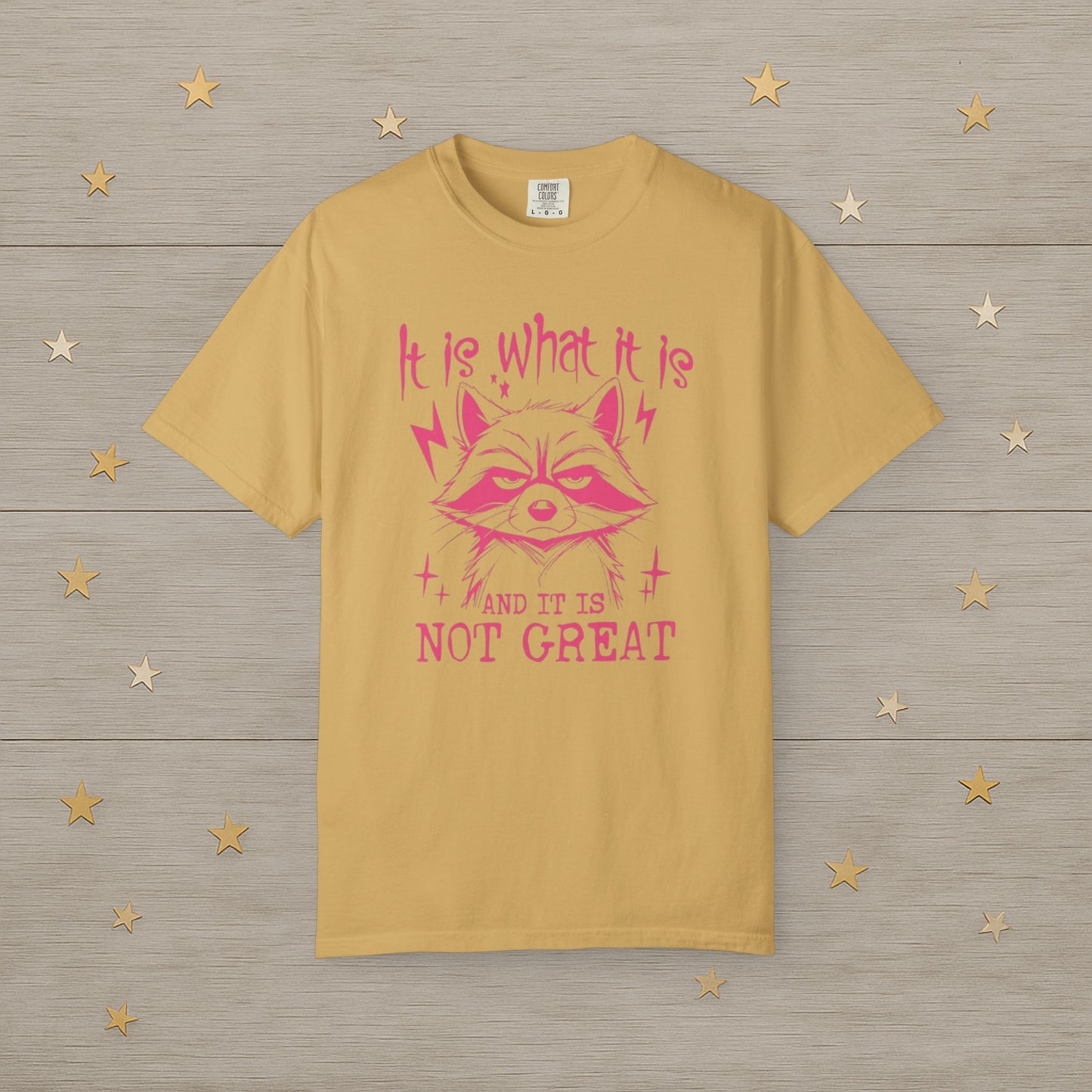 It Is What It Is Raccoon Mood Tee