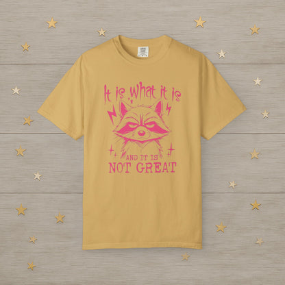 It Is What It Is Raccoon Mood Tee