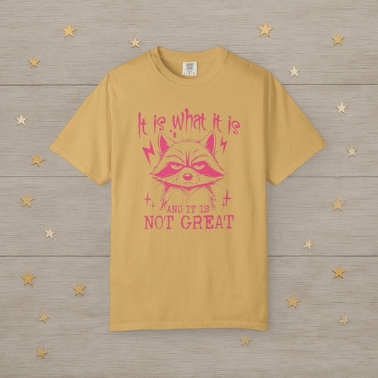 It Is What It Is Raccoon Mood Tee