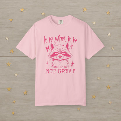It Is What It Is Raccoon Mood Tee